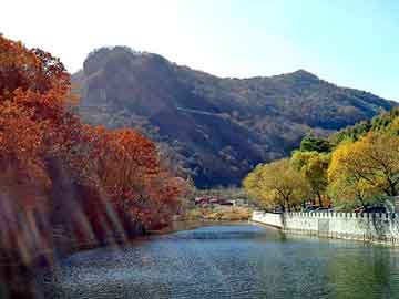 天天彩好彩天天免费，青田seo论坛